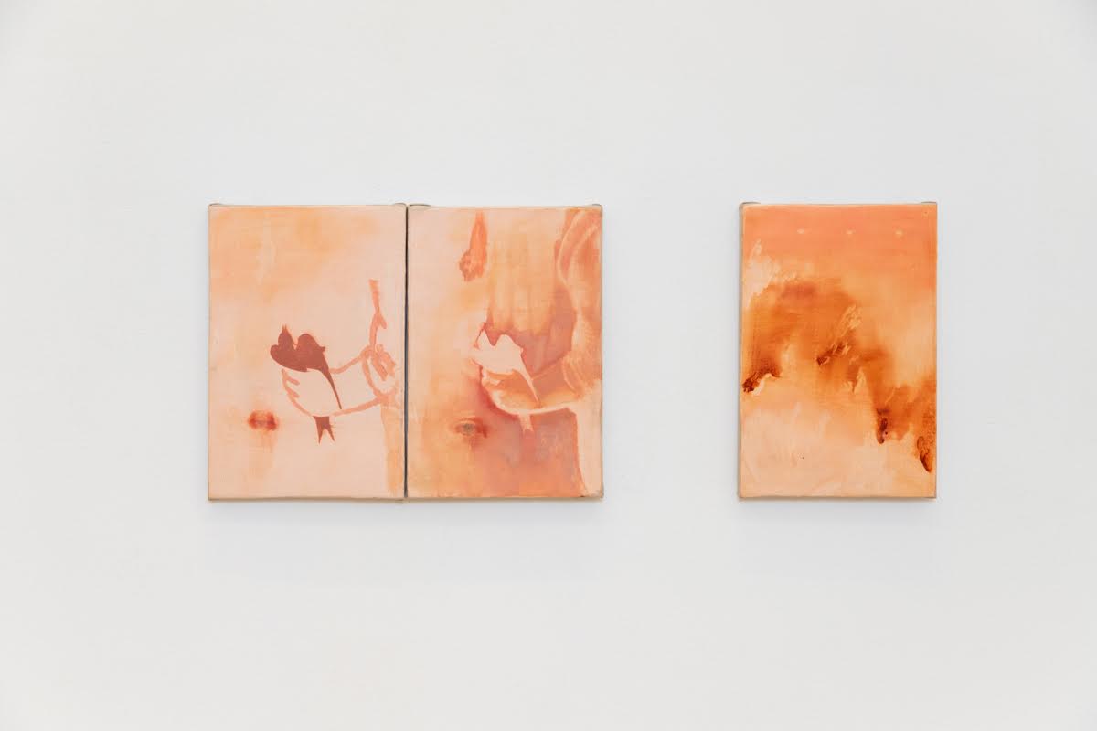Manuela Caicedo, image 4 of 5