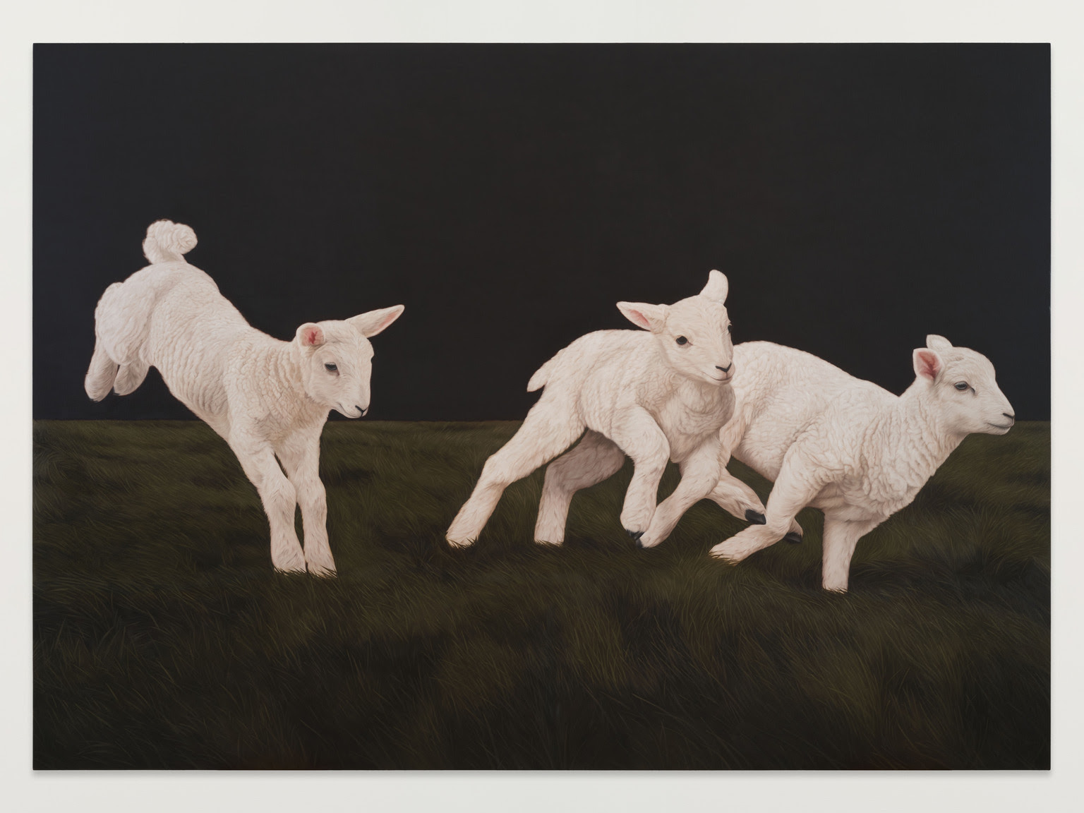 Meghann Stephenson, Queen of the Neighborhood! at Half Gallery