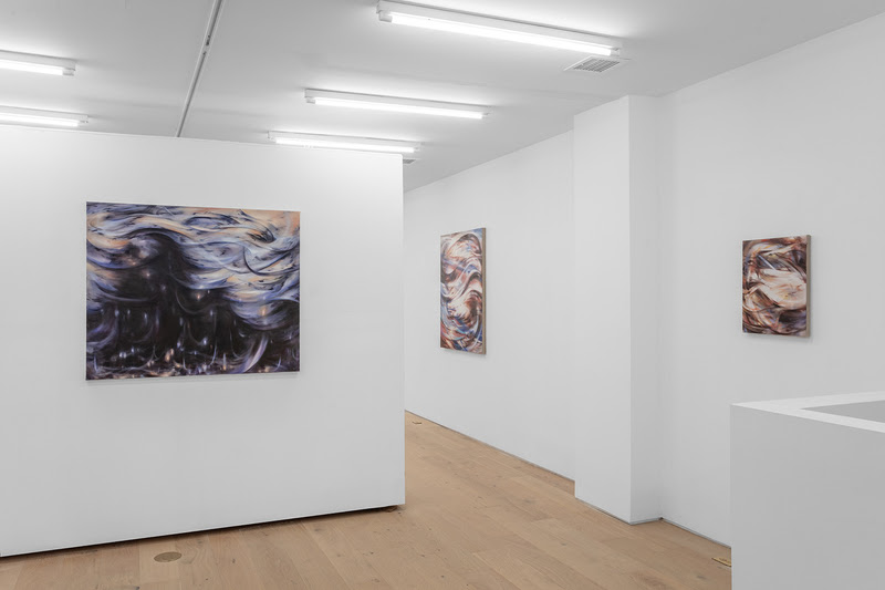 Xintong Gao, What Refuses to Settle at Latitude Gallery, photo 2