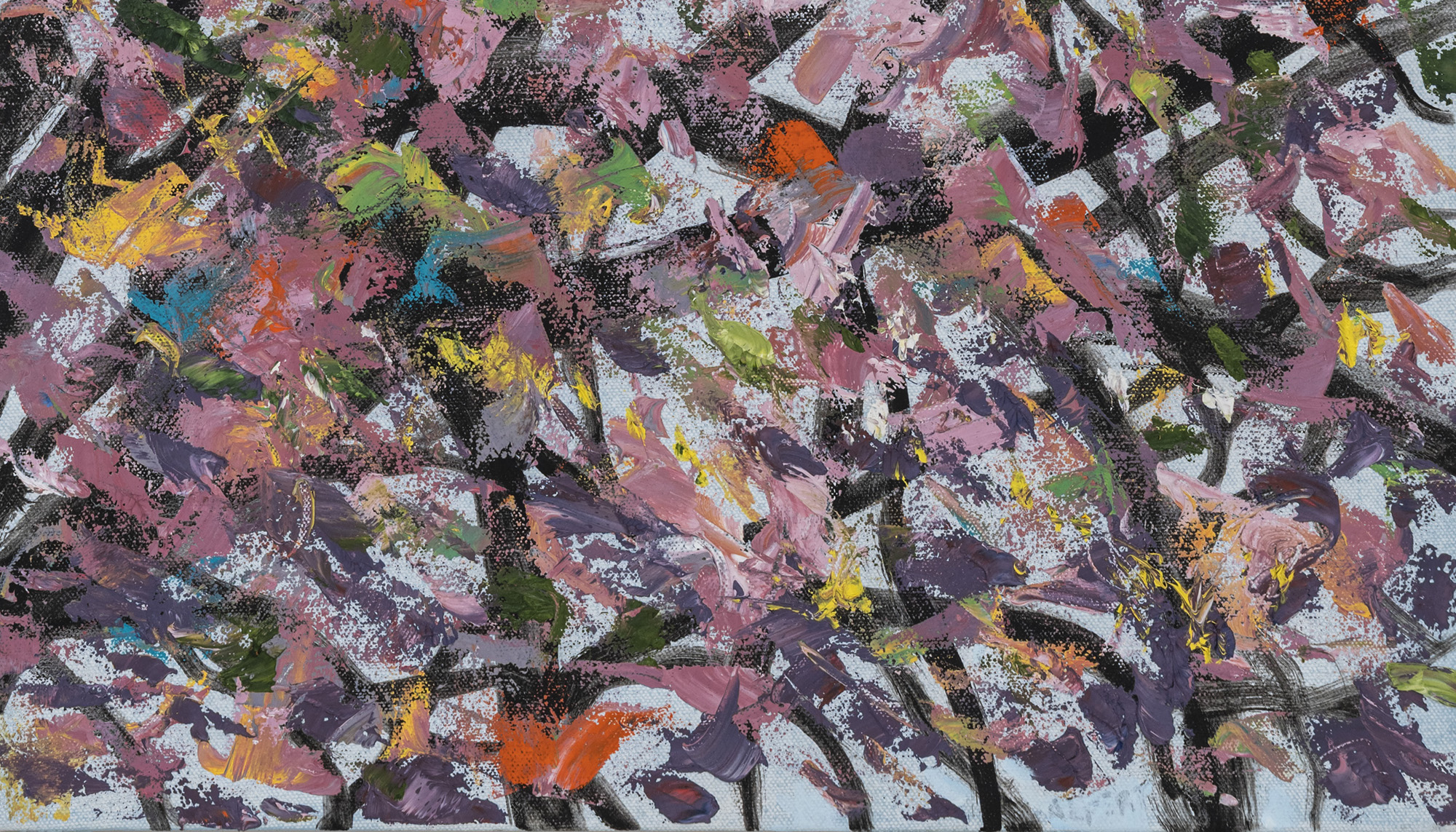 Steve Alpert, image 2 of 2