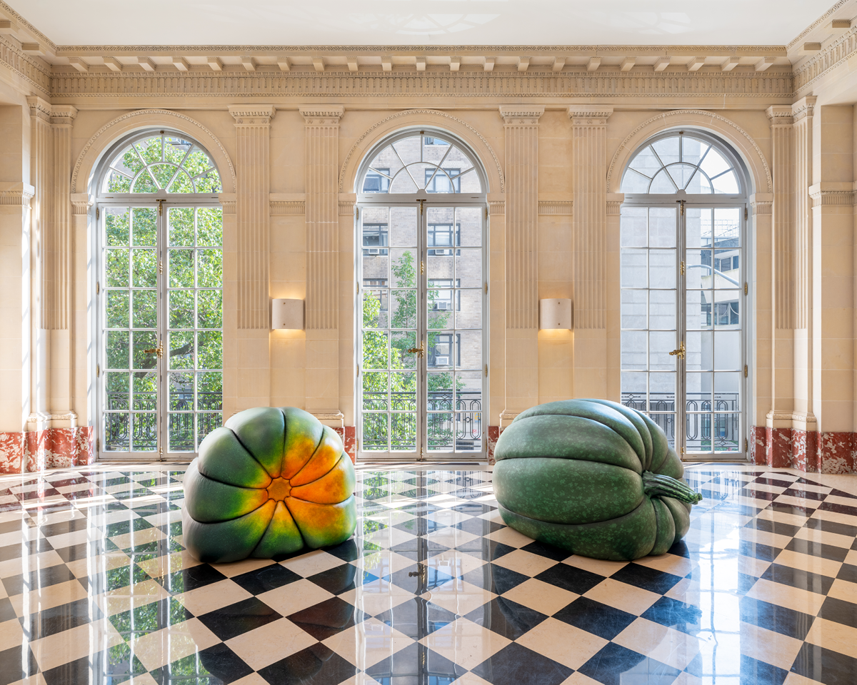 Anthea Hamilton, Comfort Zones at Salon 94
