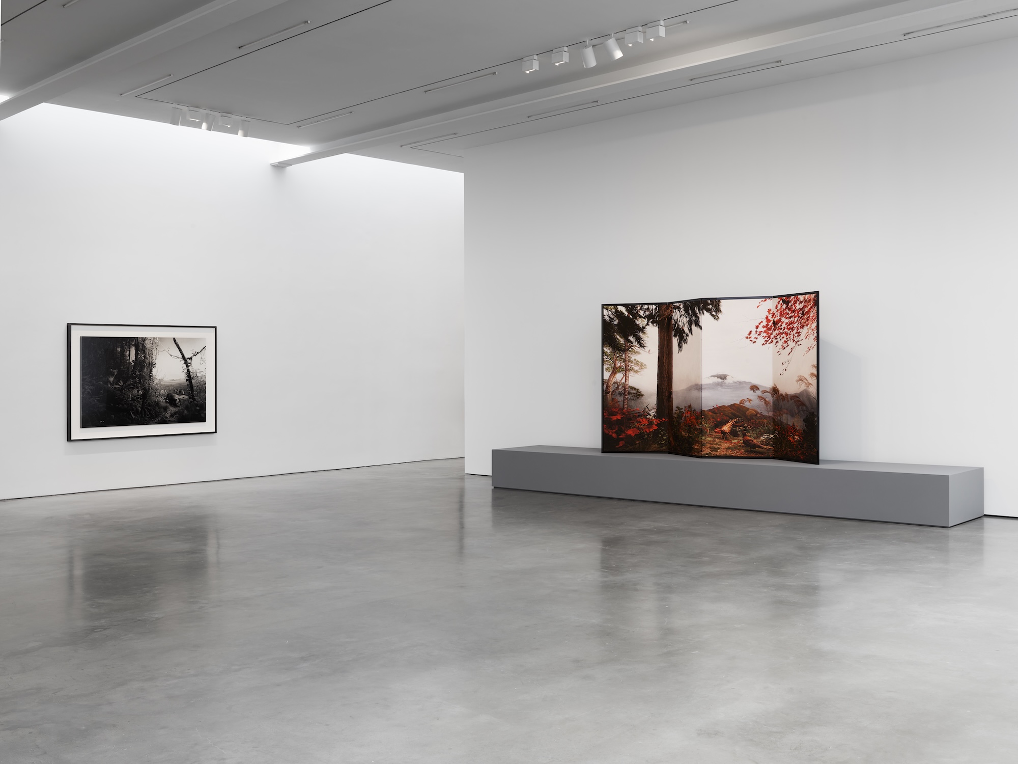 Hiroshi Sugimoto, Unnatural Habitat at Lisson, photo 2