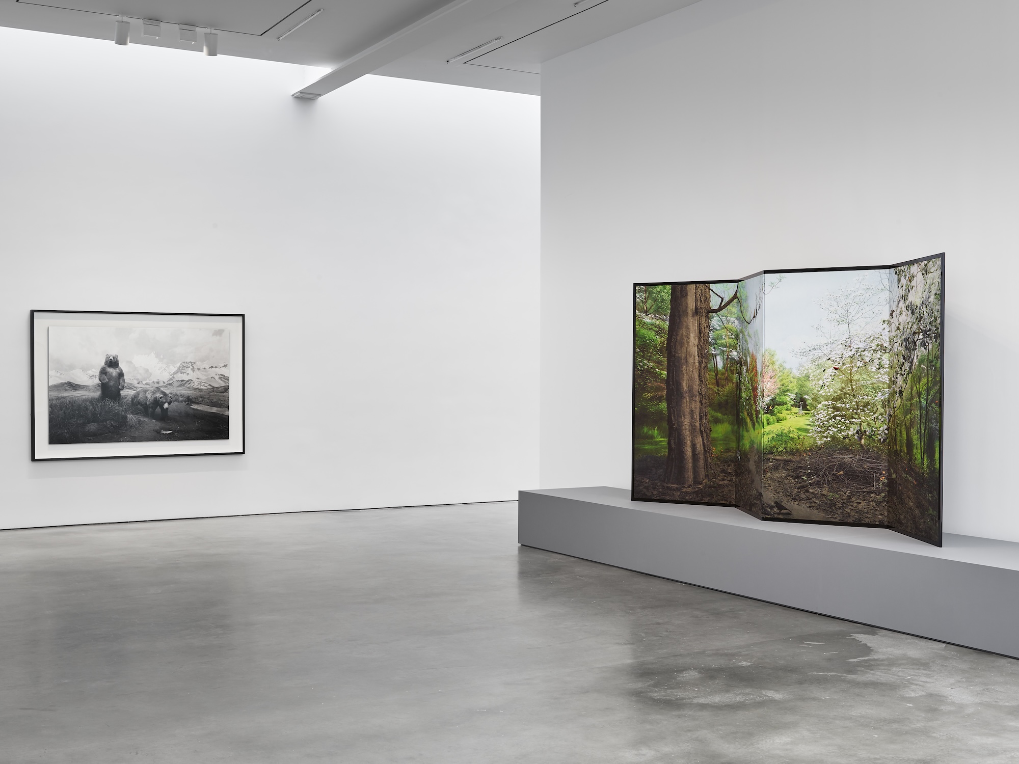 Hiroshi Sugimoto, Unnatural Habitat at Lisson, photo 12