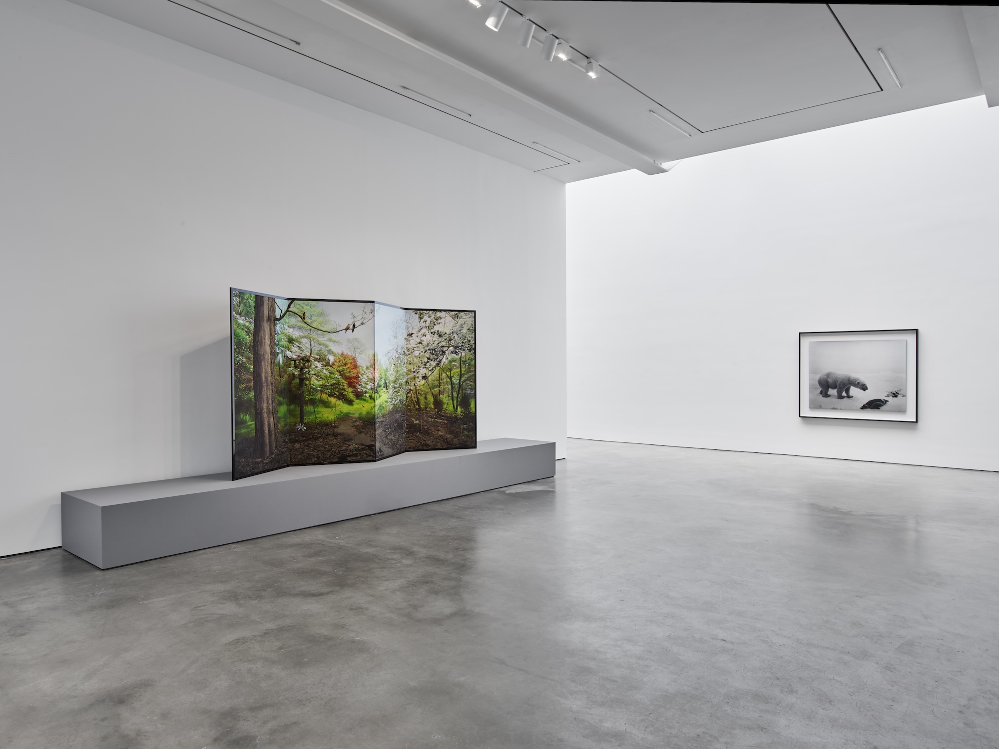 Hiroshi Sugimoto, Unnatural Habitat at Lisson, photo 13