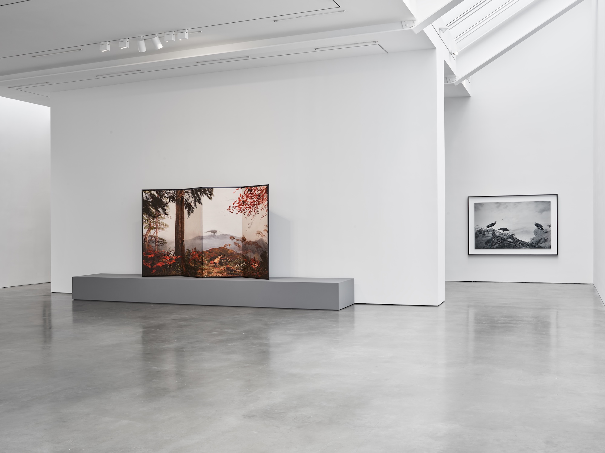 Hiroshi Sugimoto, Unnatural Habitat at Lisson, photo 3