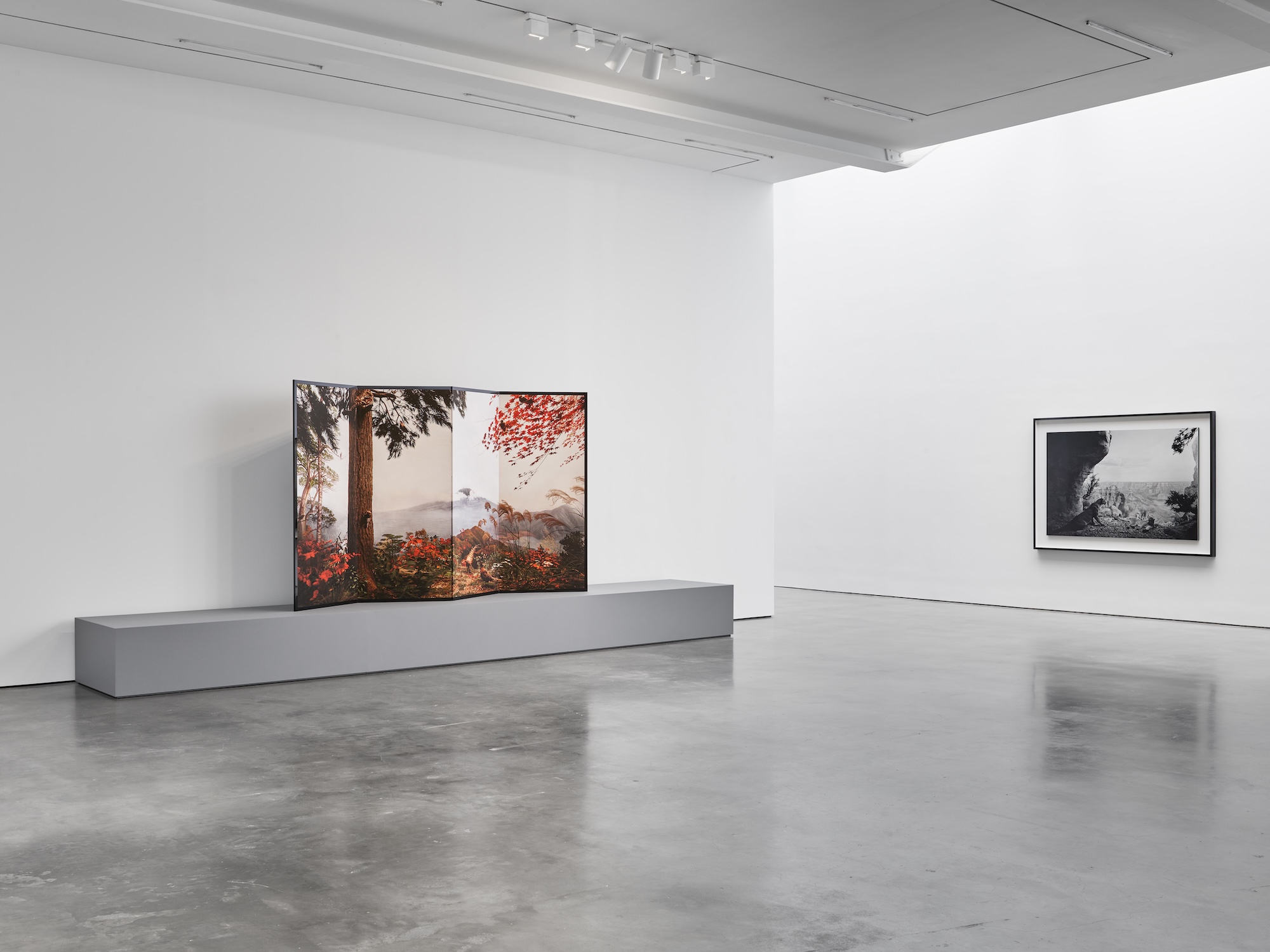 Hiroshi Sugimoto, Unnatural Habitat at Lisson, photo 4