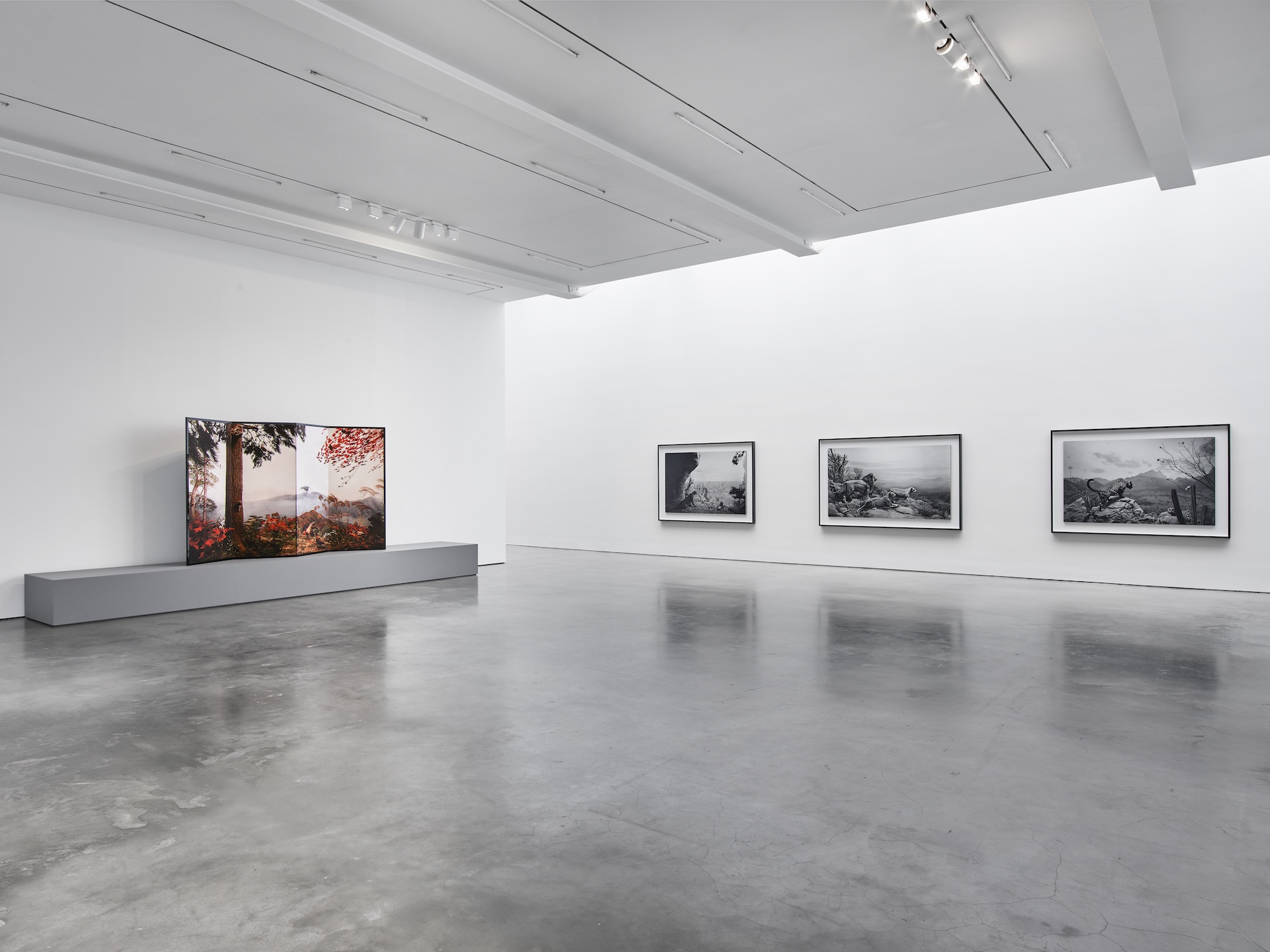 Hiroshi Sugimoto, Unnatural Habitat at Lisson, photo 5