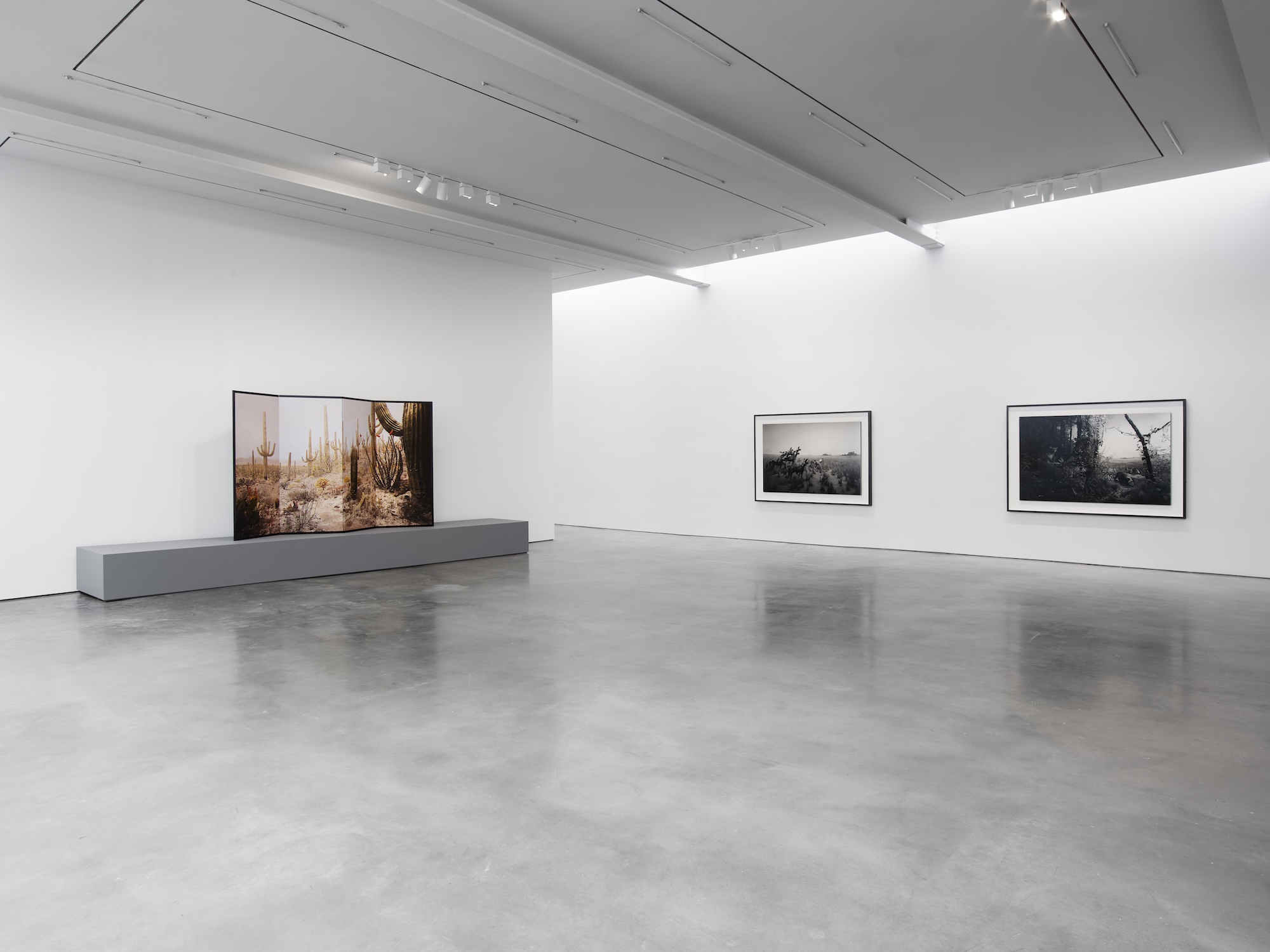 Hiroshi Sugimoto, Unnatural Habitat at Lisson, photo 9