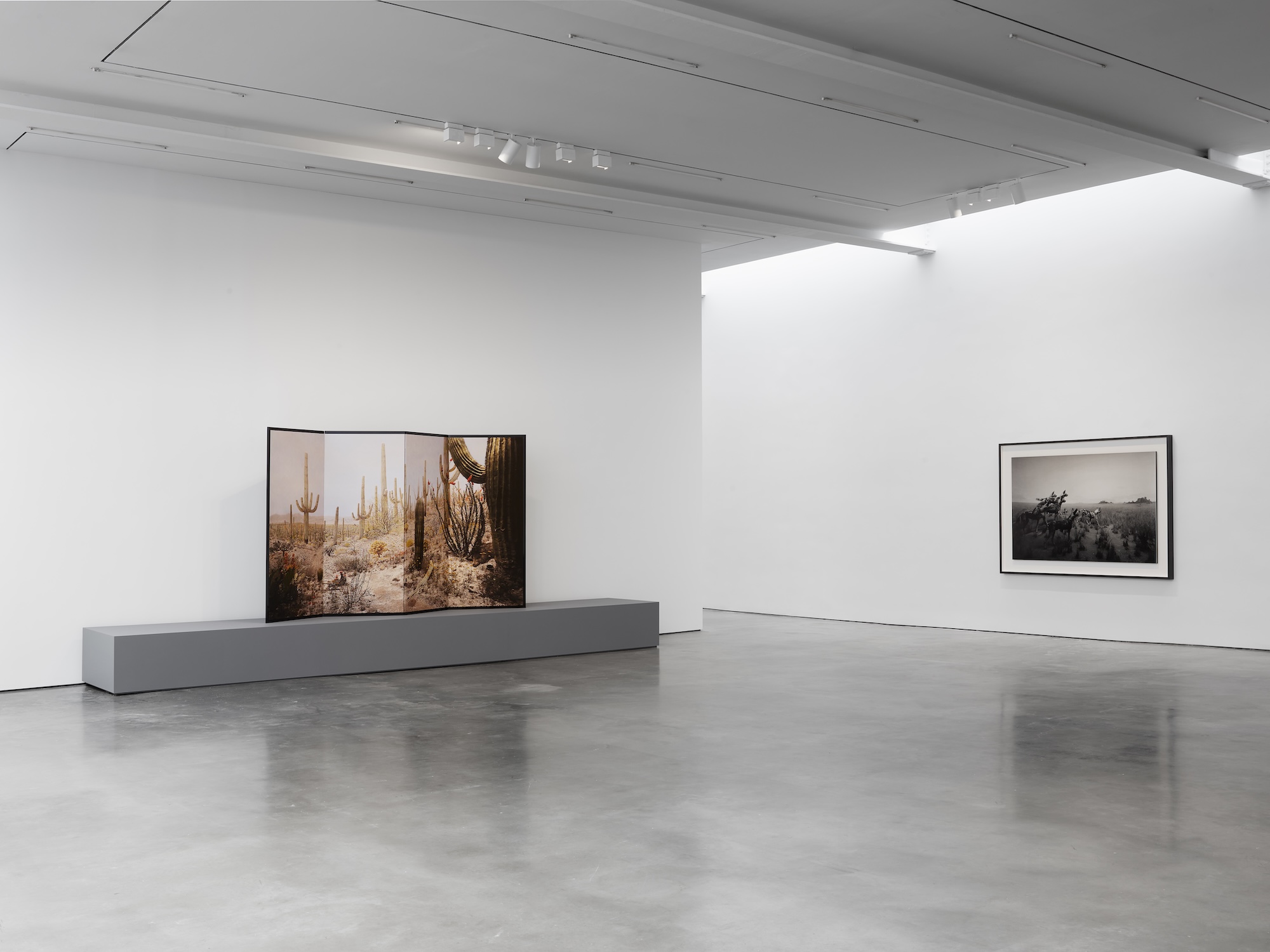 Hiroshi Sugimoto, Unnatural Habitat at Lisson, photo 10