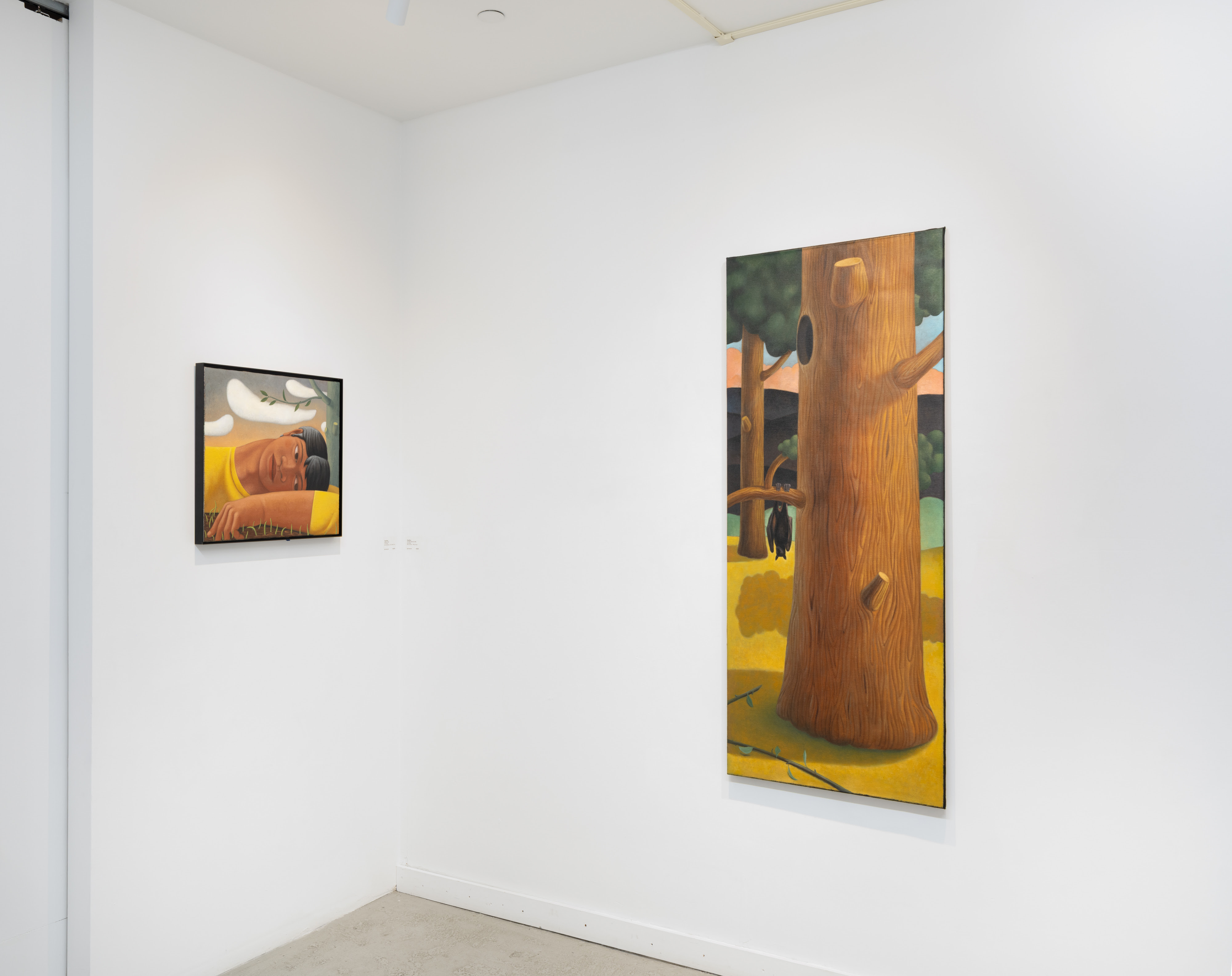 Tang Shuo, Borrowed History at Plato, photo 12