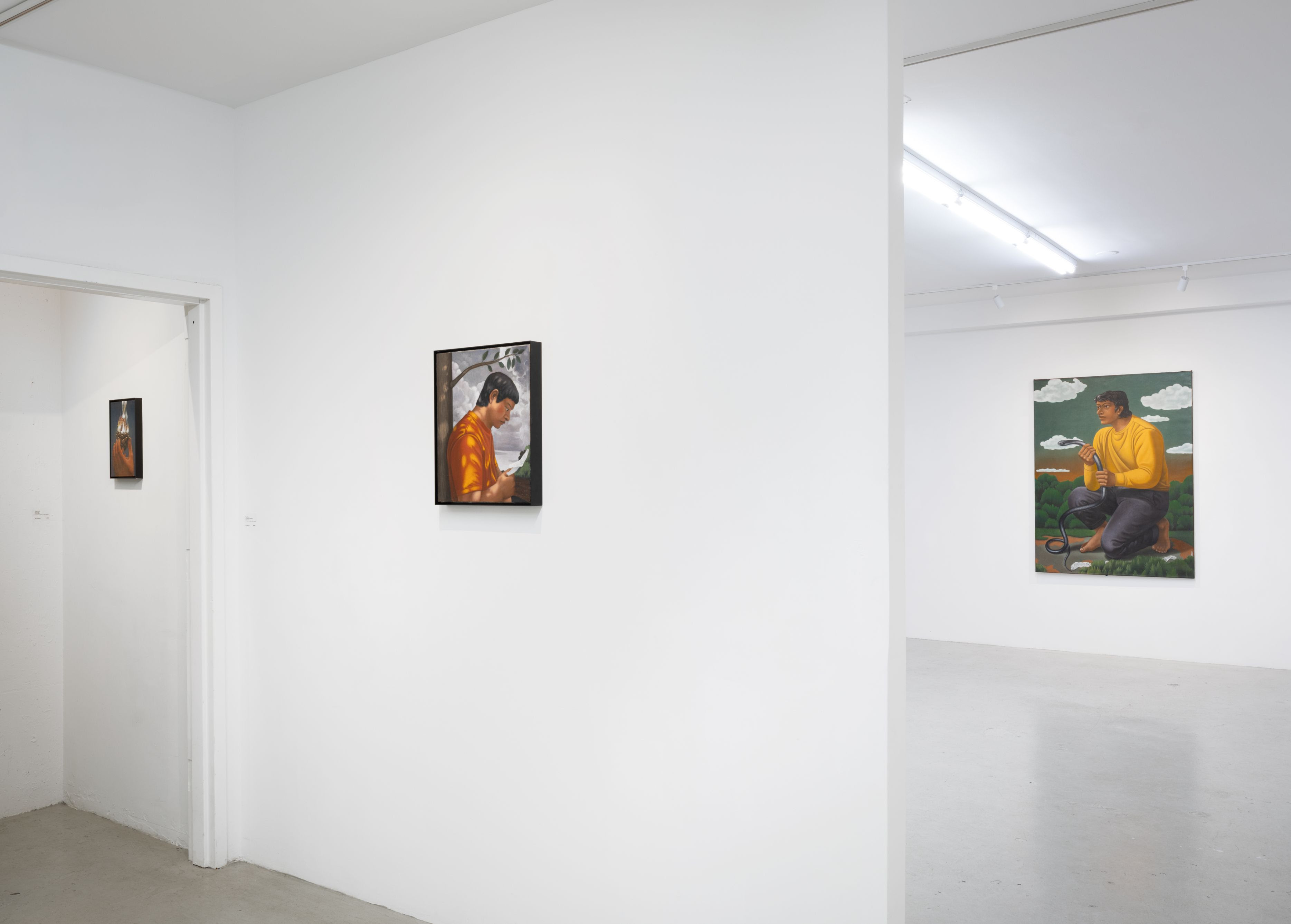 Tang Shuo, Borrowed History at Plato, photo 14
