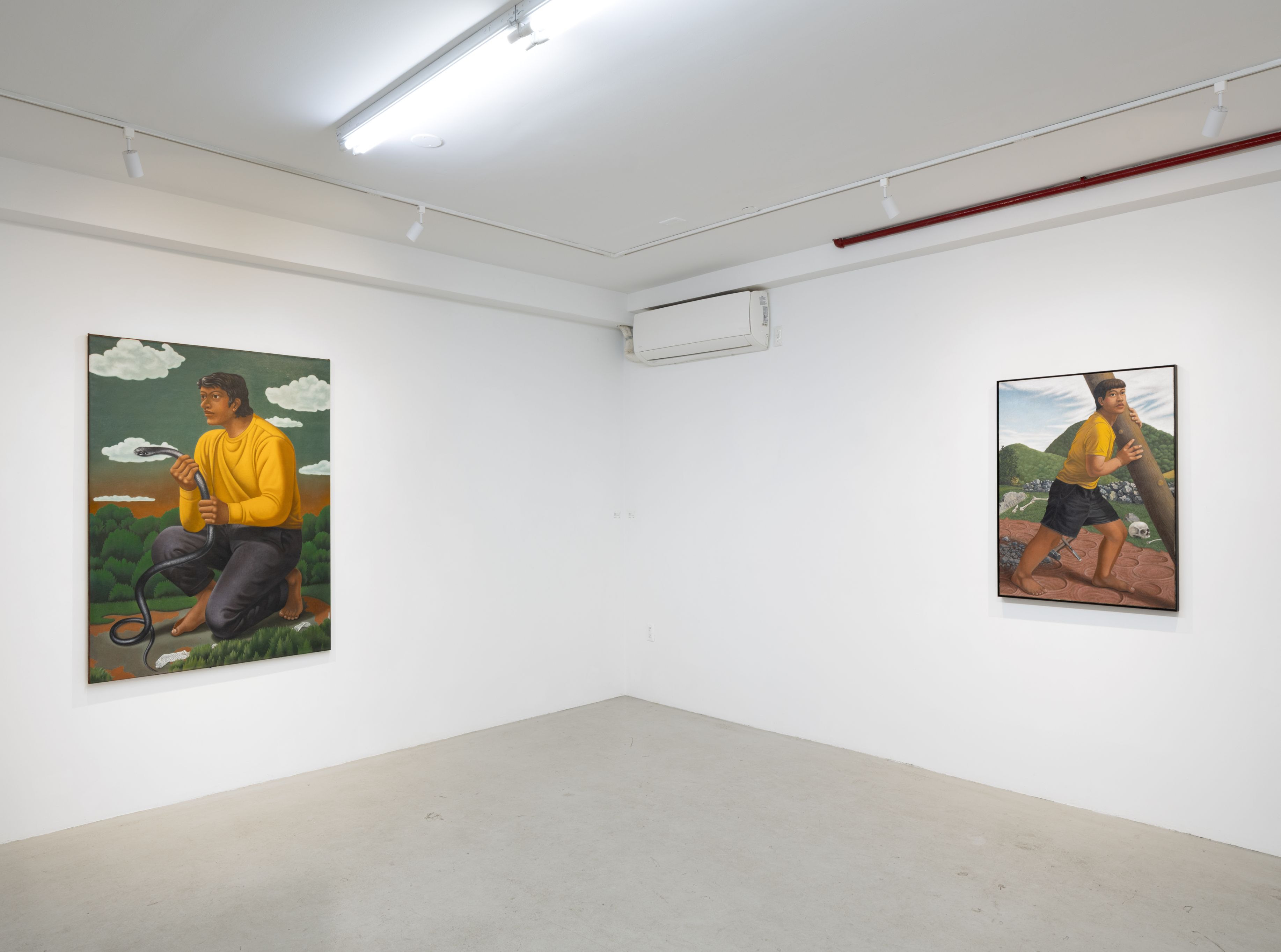 Tang Shuo, Borrowed History at Plato, photo 4