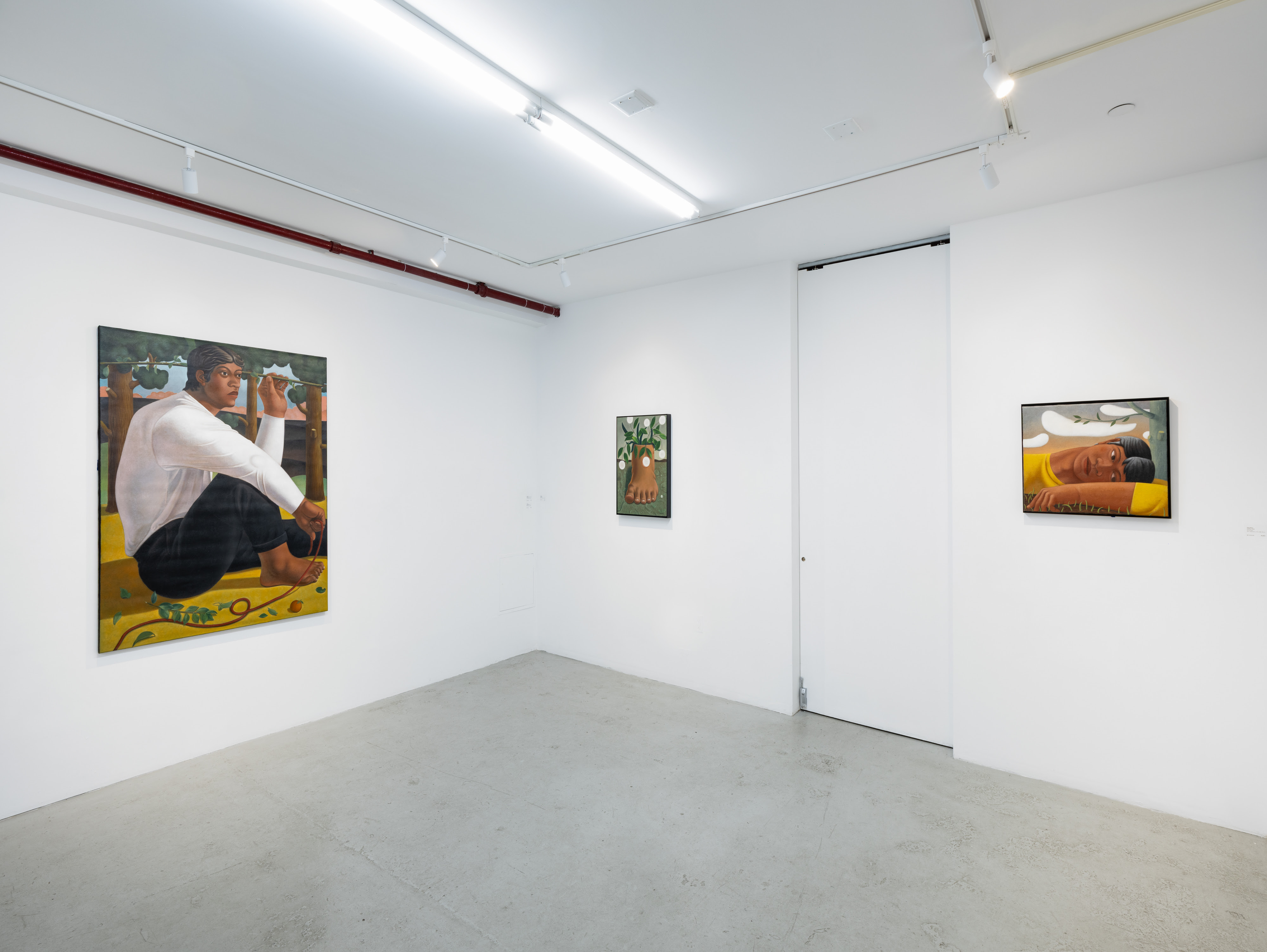 Tang Shuo, Borrowed History at Plato, photo 9